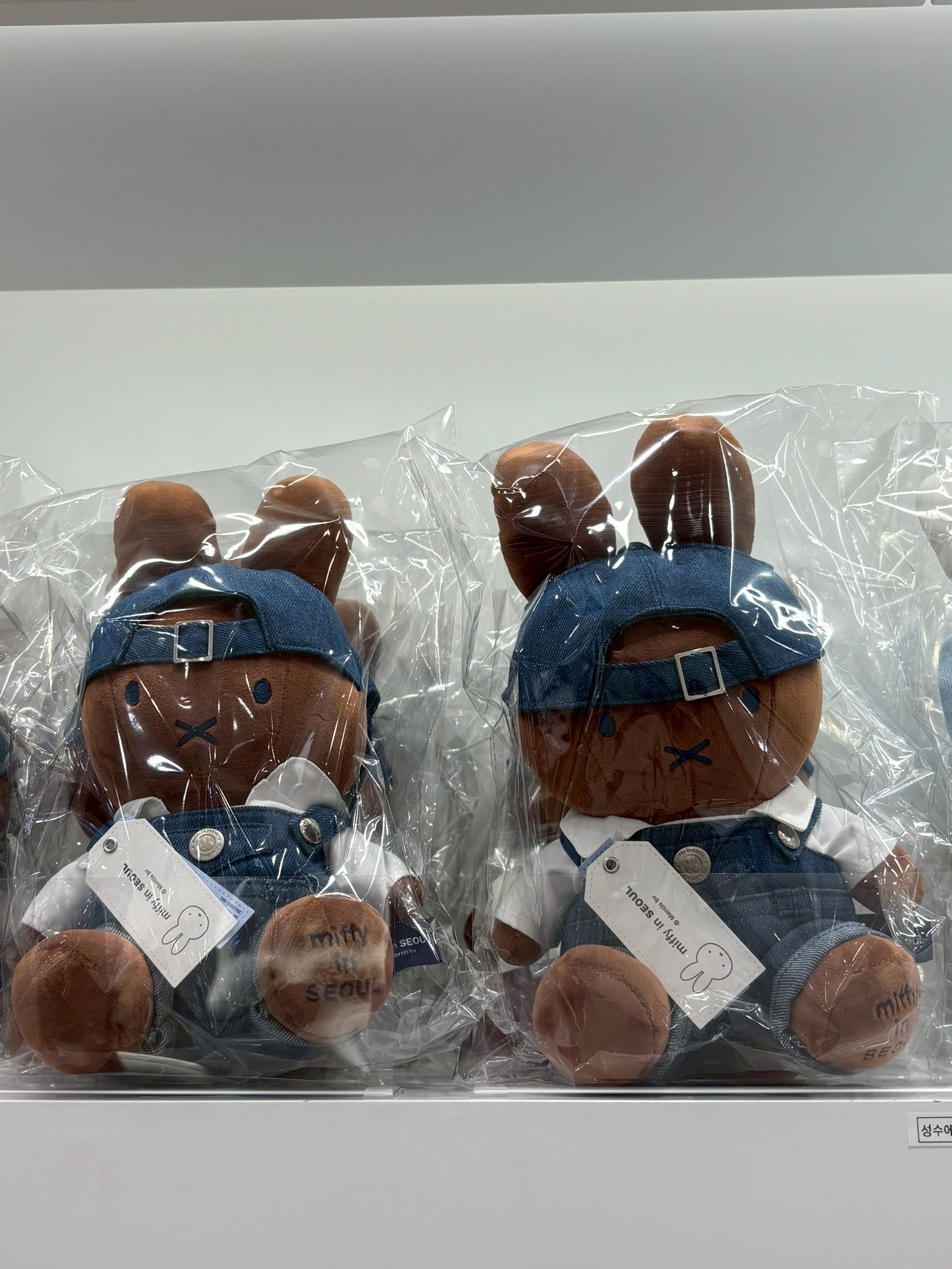 image_EA984C67-D48A-4445-8796-652F22E43220_1768294843