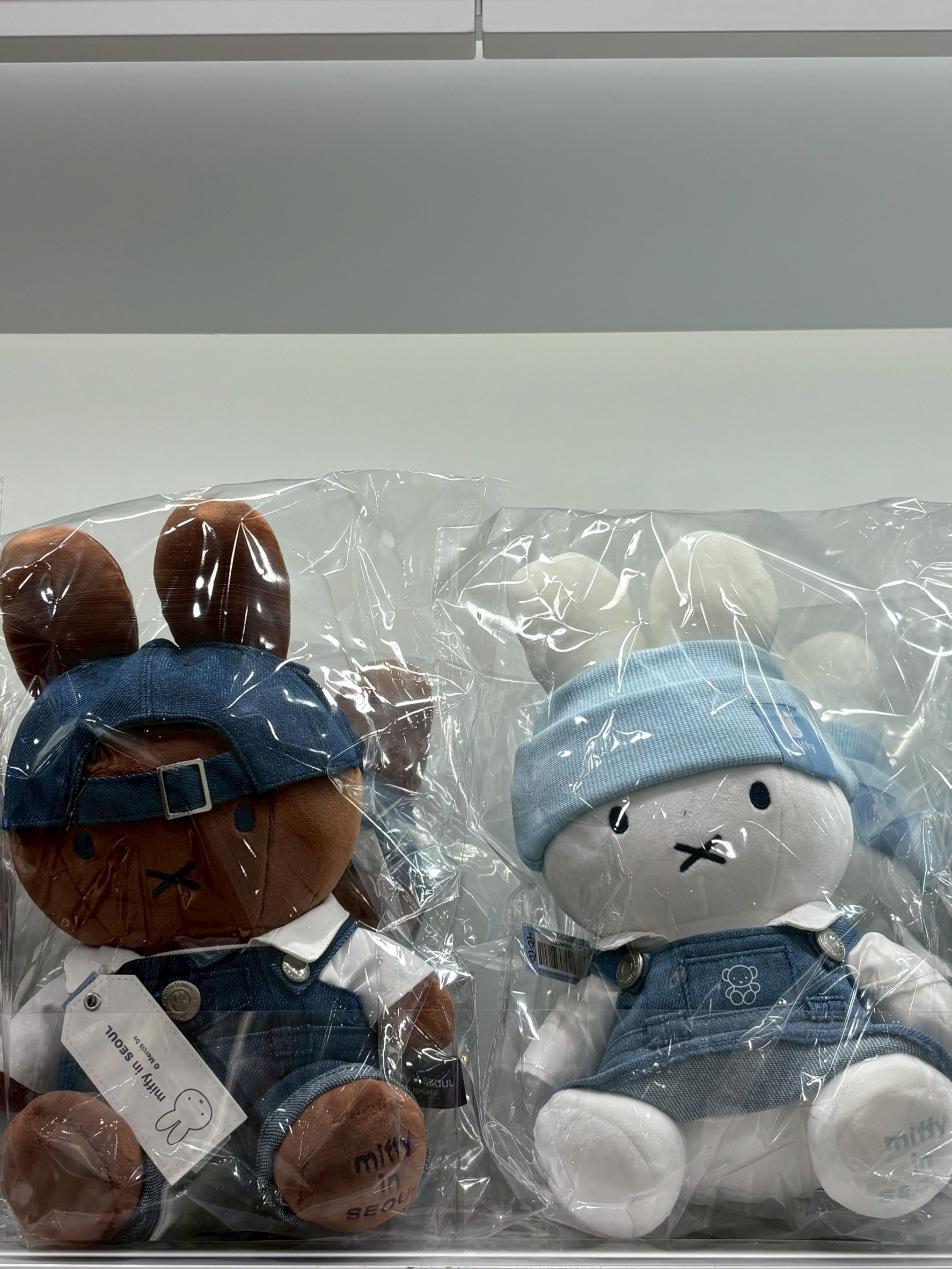 image_065911B7-5F56-4234-9844-6B1D1E230003_1768294843