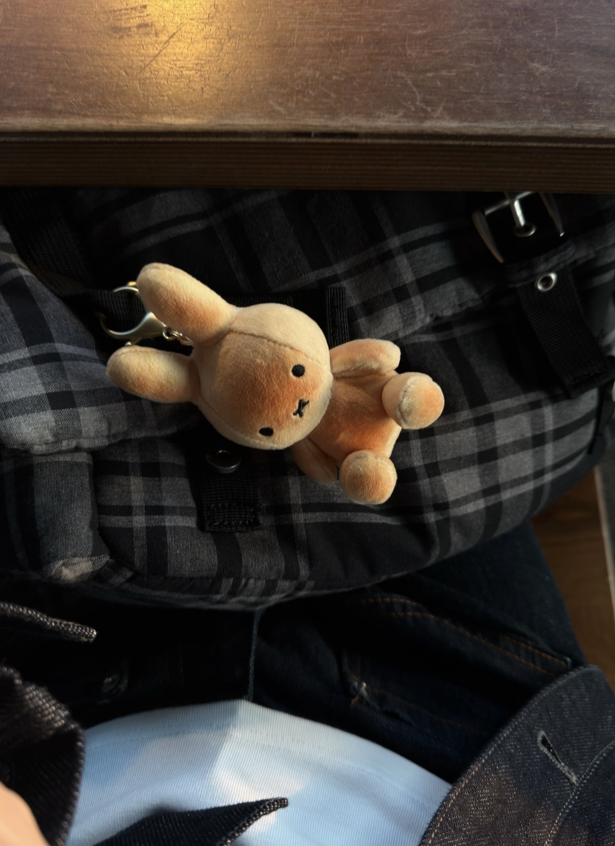 image_91B28BE7-CCEE-4192-A07B-2CBCD7FF23D0_1768287660