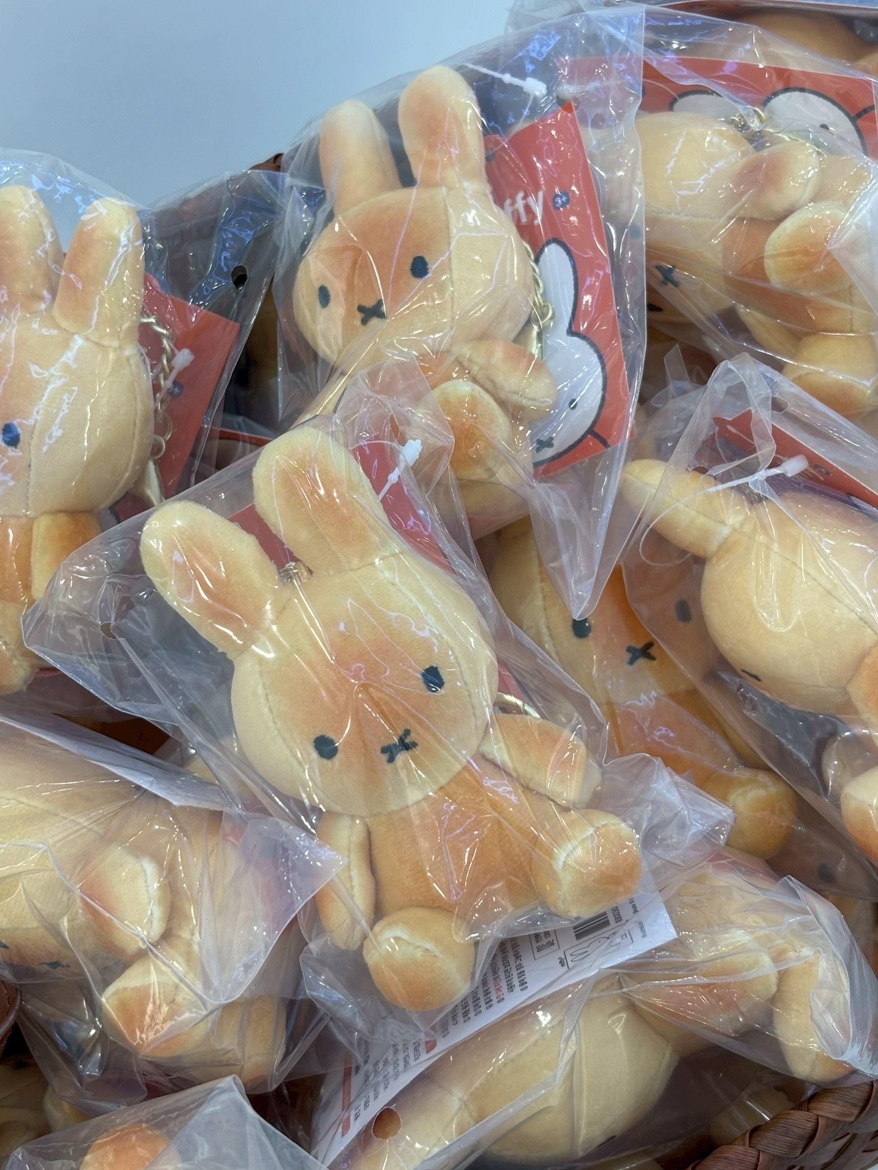 image_5331B722-E7D2-49C0-AB29-C46FB0BADDAE_1768287660