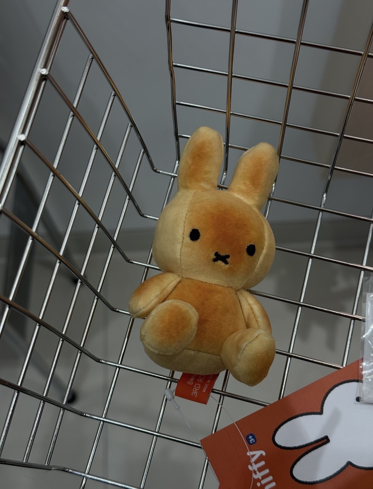 image_5E27BEE0-DF18-4167-B850-834165D0F9F6_1768287660