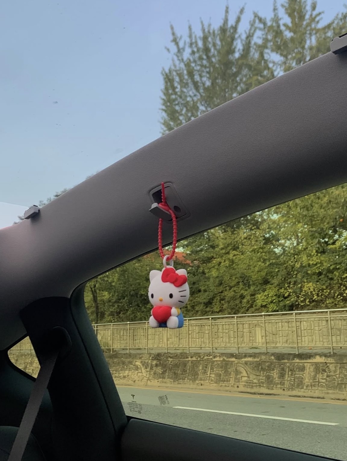 image_54755206-B7C2-4B63-9154-9E81BB3465B9_1772008892