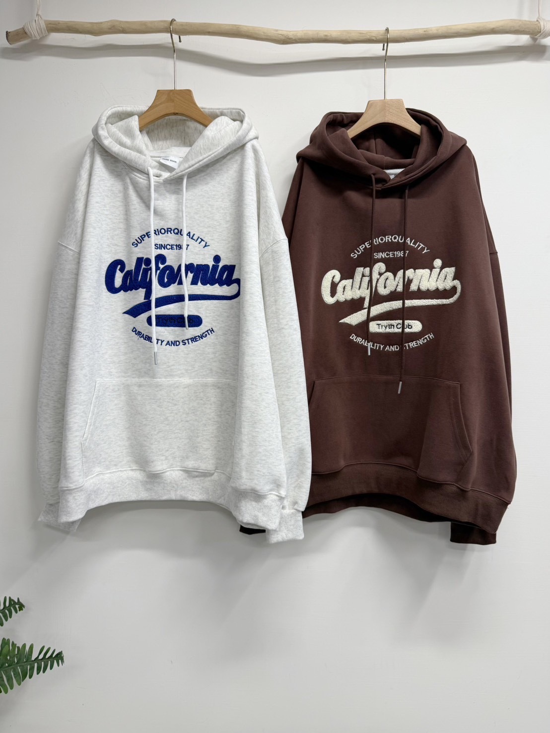 image_002DA89E-CD34-4129-B273-0CA1CB4C6266_1767249753