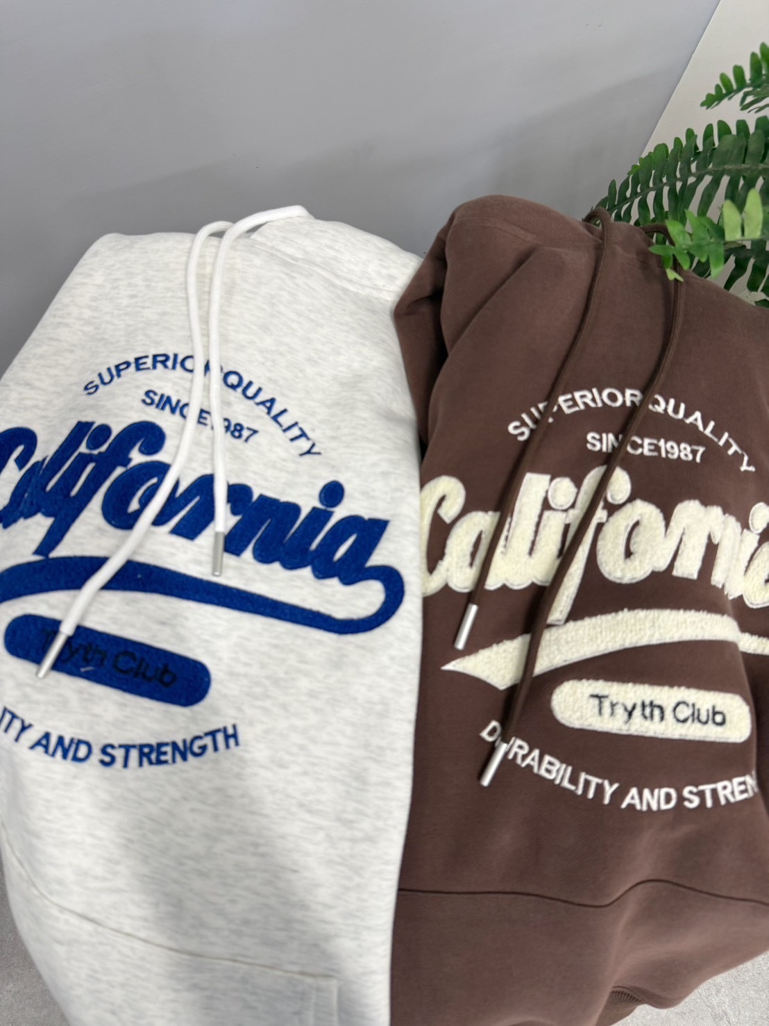 image_3E3D5925-1914-4CE6-8C9C-EF0E8F247057_1767249753