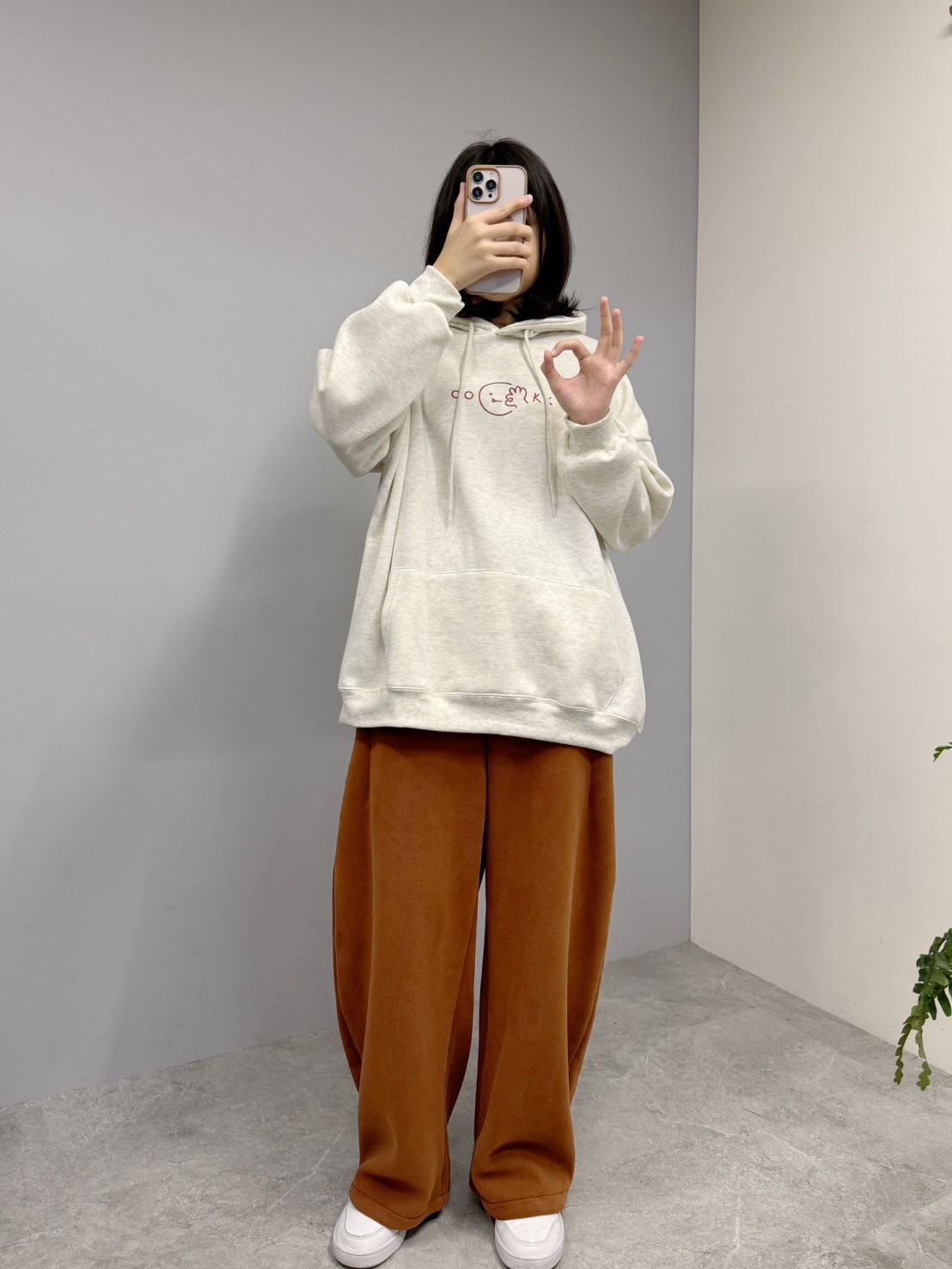 image_539D5C86-FB26-4A5E-80AA-1352D4D18332_1767423418