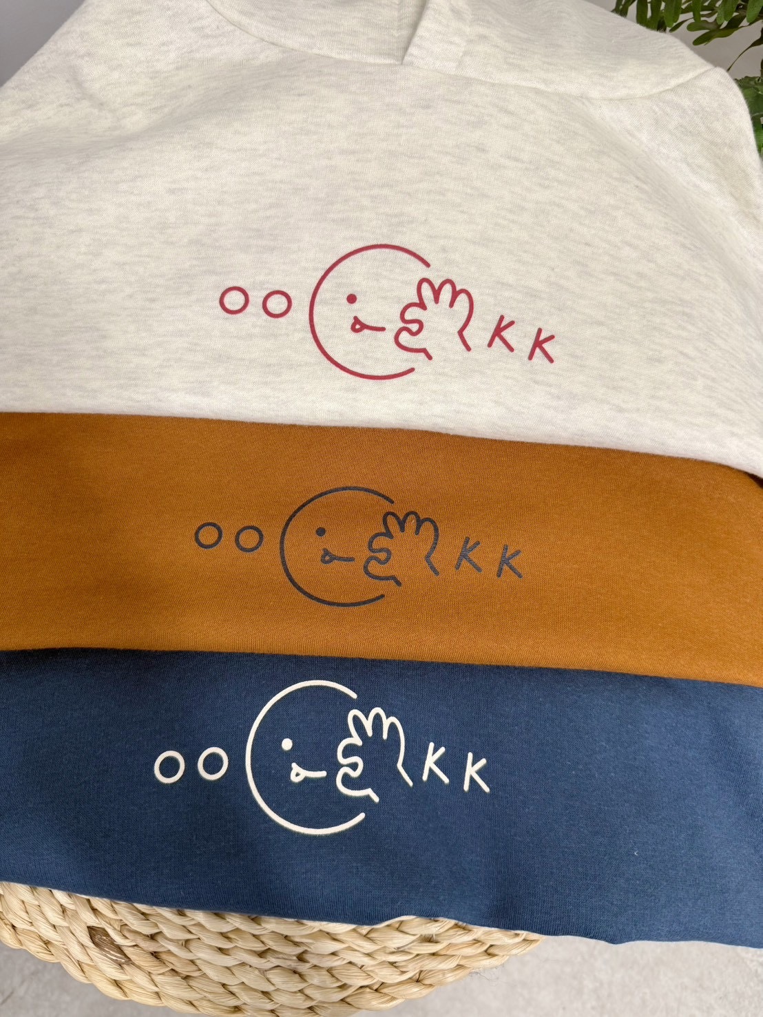 image_A5392560-2627-44F8-AE97-E1C0BFB71438_1767423418