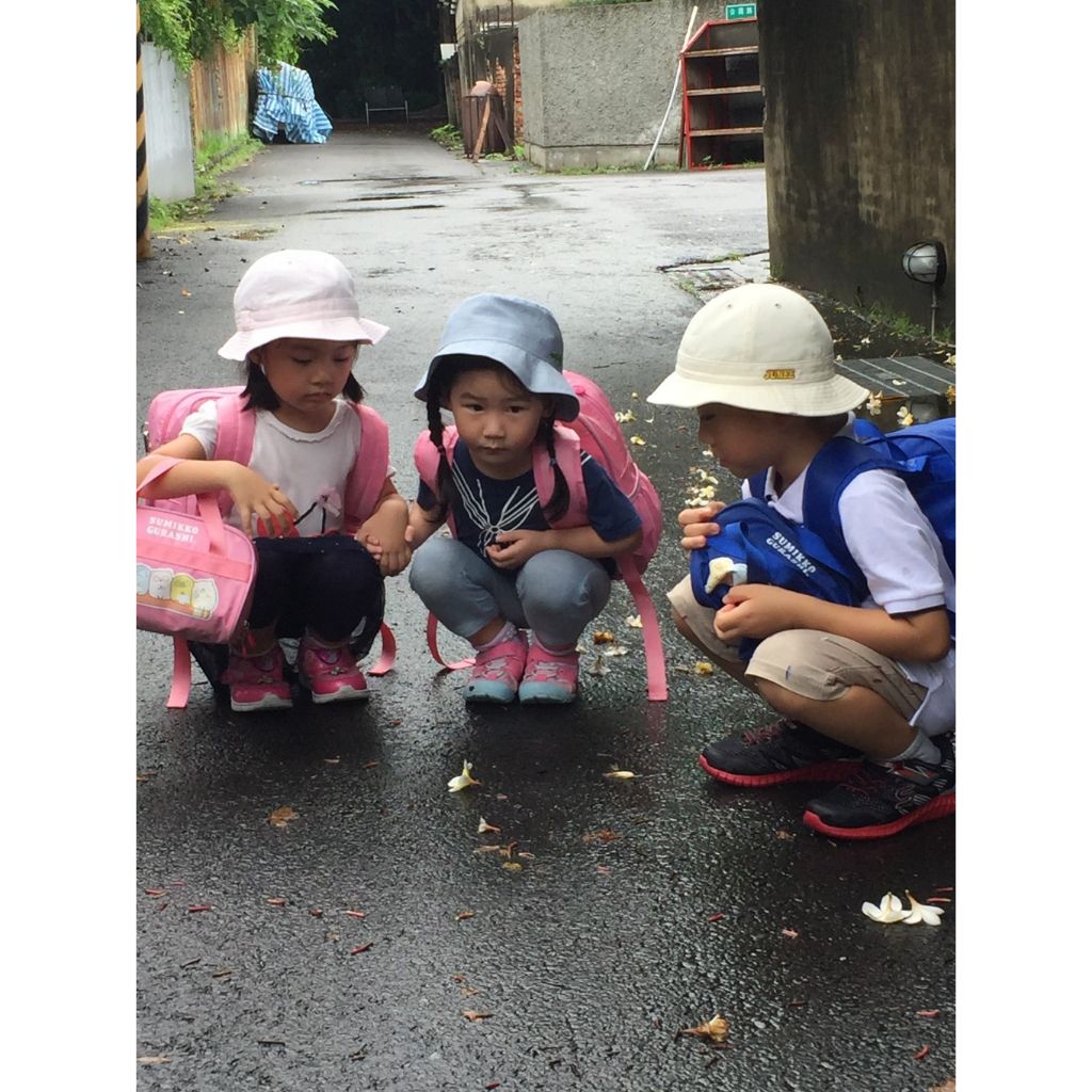 tw-11134207-7rbk4-m9zh6zuwfghld1