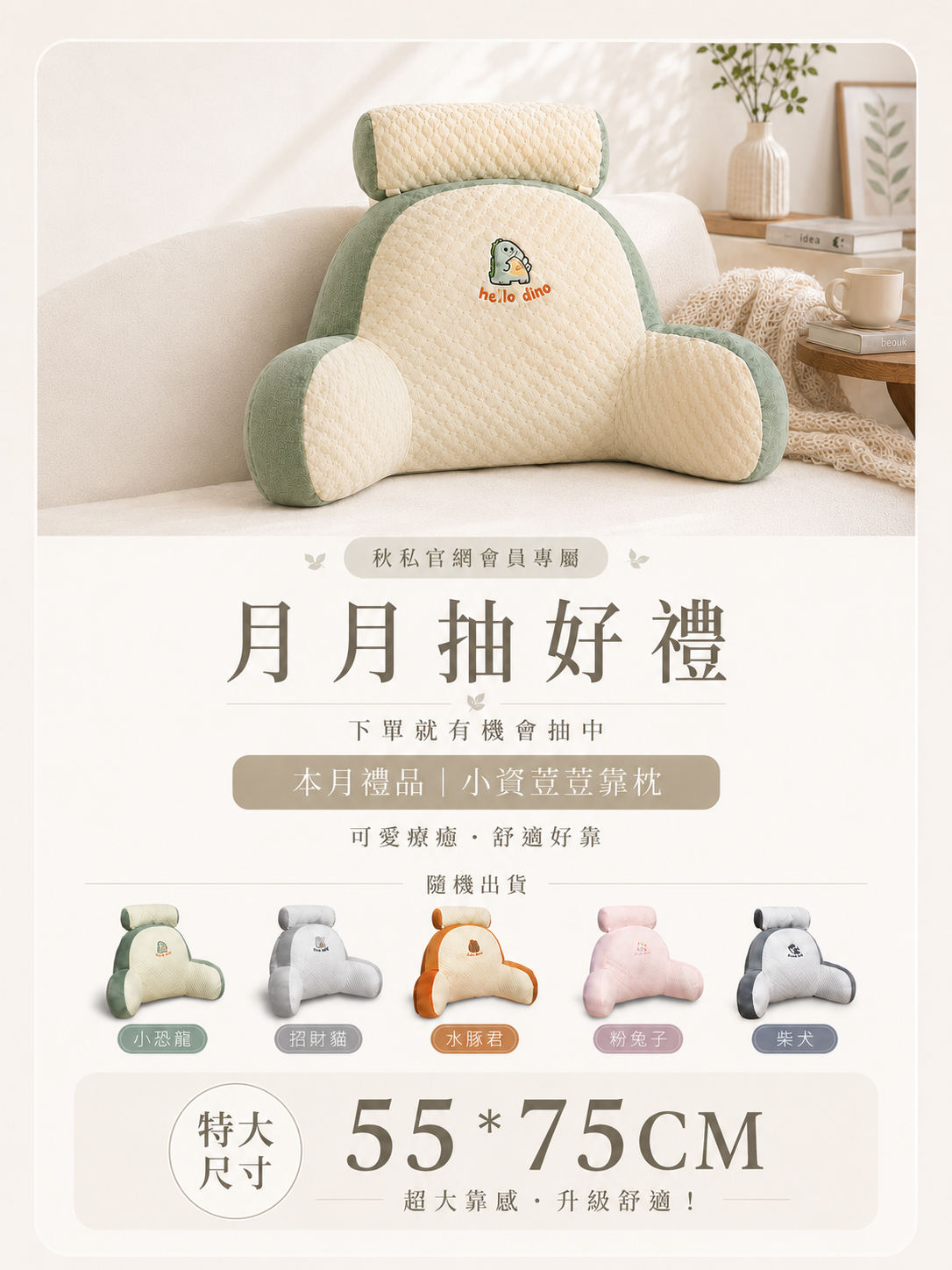  | Chiu's 秋私靠枕