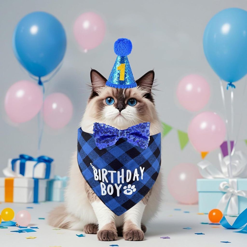 tw-11134207-81ztl-mgngh5zsr9cbab