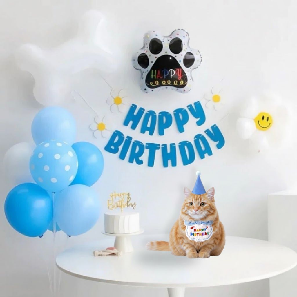 tw-11134207-81ztl-mitzudh4ip6pb7