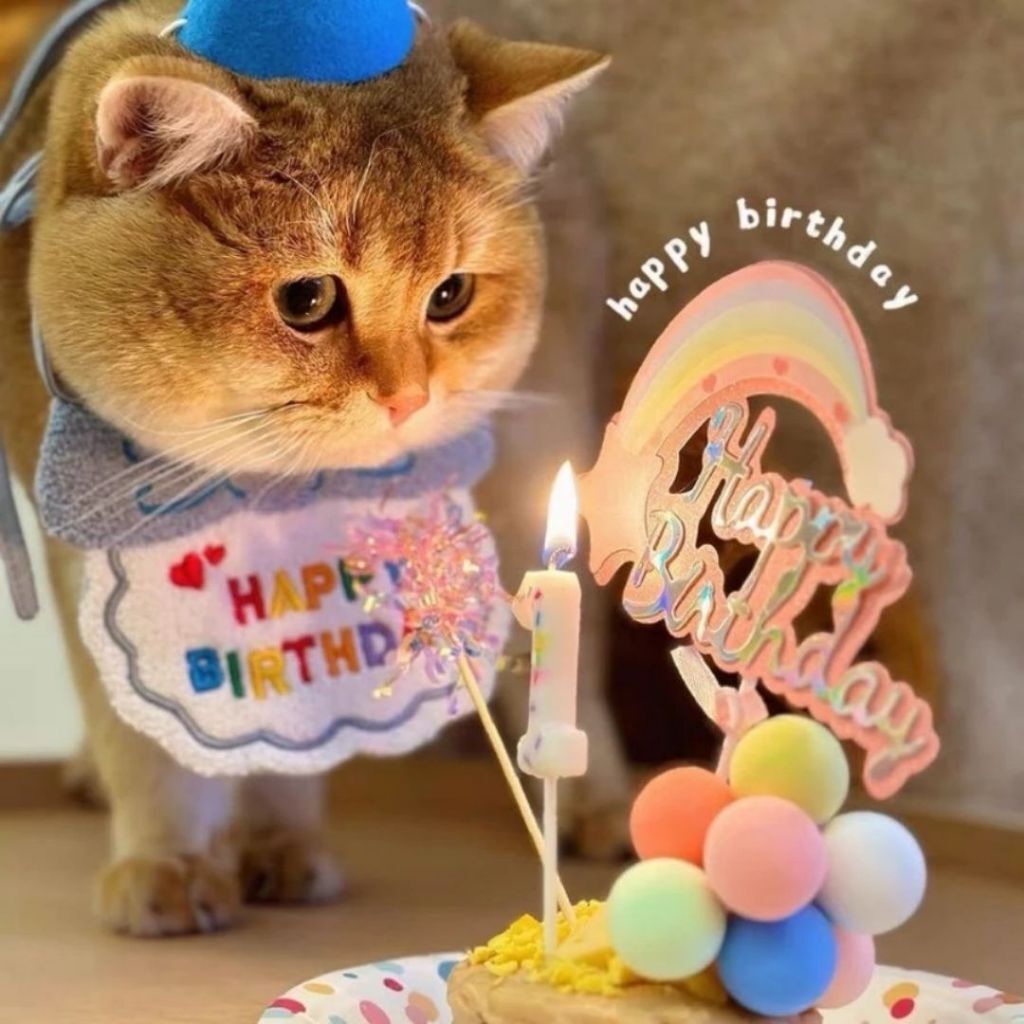 tw-11134207-820lc-mlpr7iemlipu0a