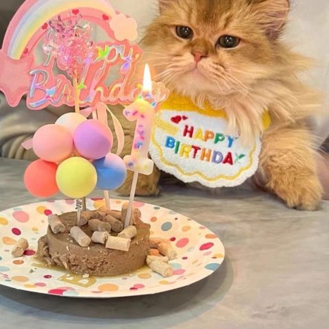 tw-11134207-820le-mlpr7iefyq6gec