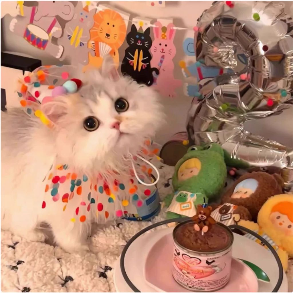 tw-11134207-820l8-mmqxcey5h4w1de