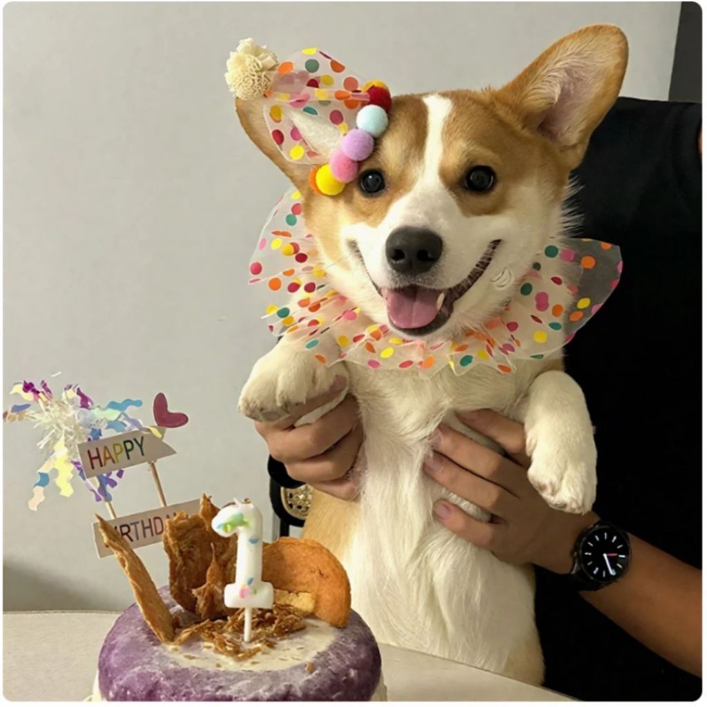 tw-11134207-820l5-mmqxcey34ute3b