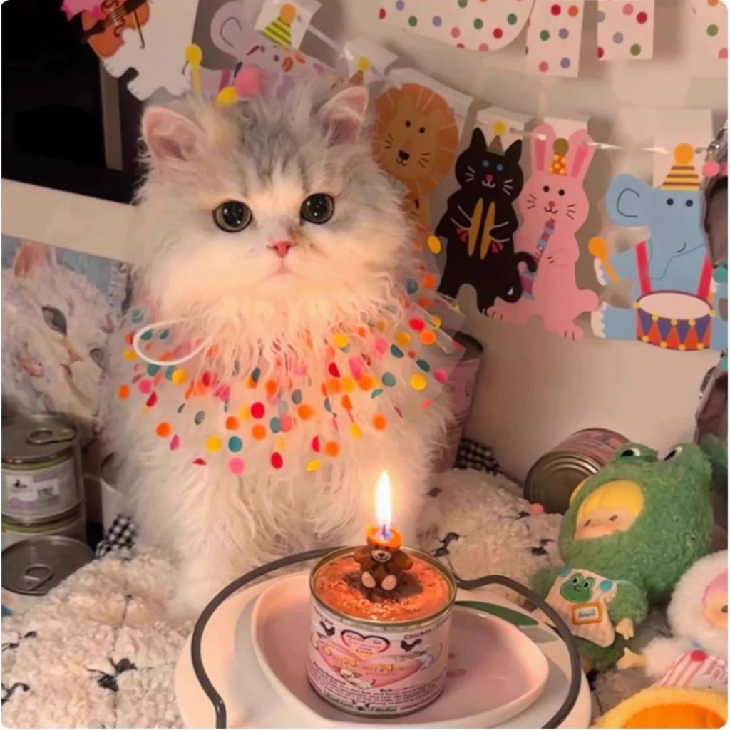 tw-11134207-820l7-mmqxcey5cx6u0c