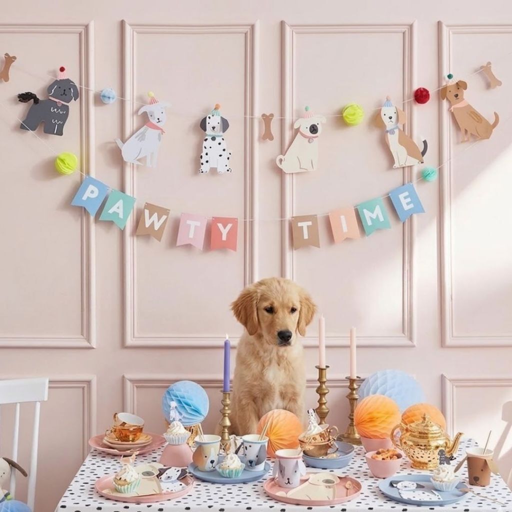 tw-11134207-820l9-mmr4caddp5abd1