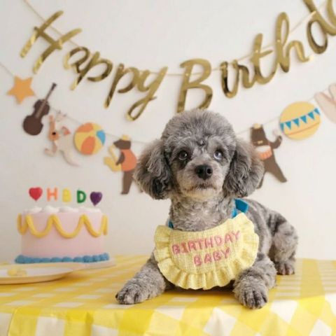 tw-11134207-820la-mms8qo0gw9hk27