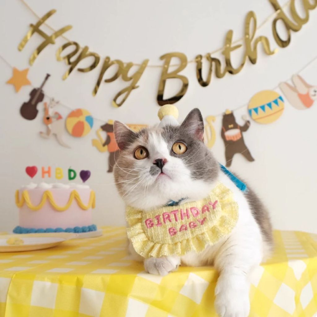 tw-11134207-820lh-mmravtjg34zn9b