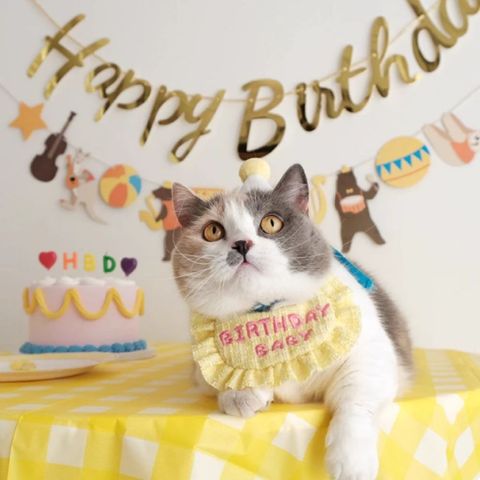 tw-11134207-820lh-mmravtjg34zn9b