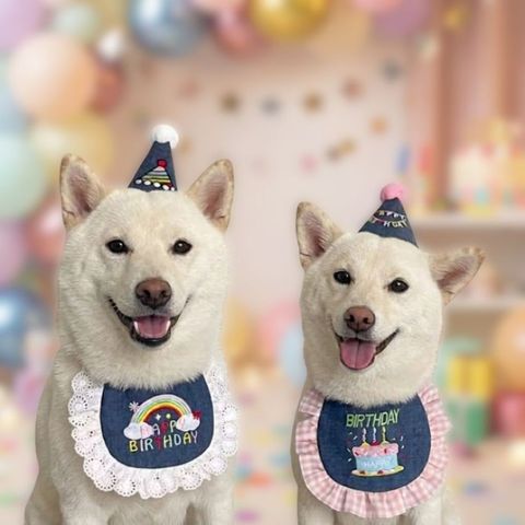 tw-11134207-820l8-mmsa8ce0ehhe51