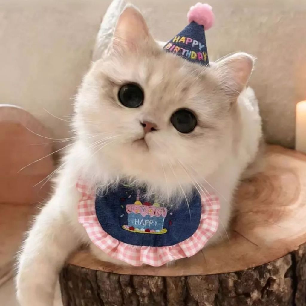 tw-11134207-820l7-mmsa8ce0fw1uac