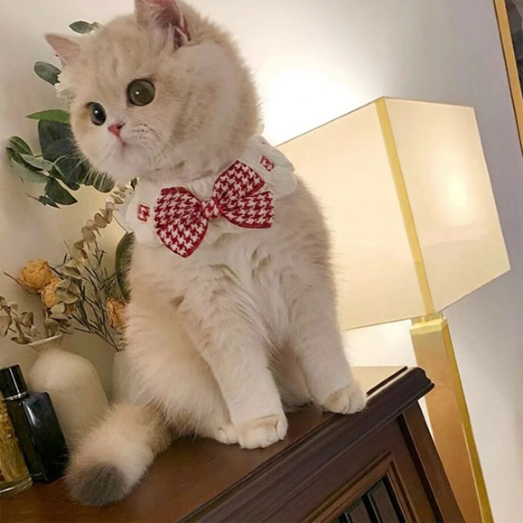 tw-11134207-820l4-mmsc79kwrsap8f