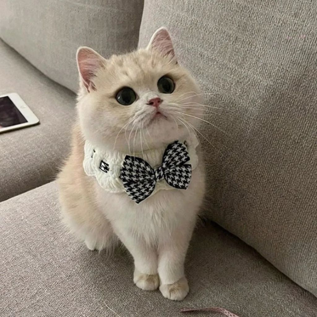 tw-11134207-820lb-mmsc79kwulfl50