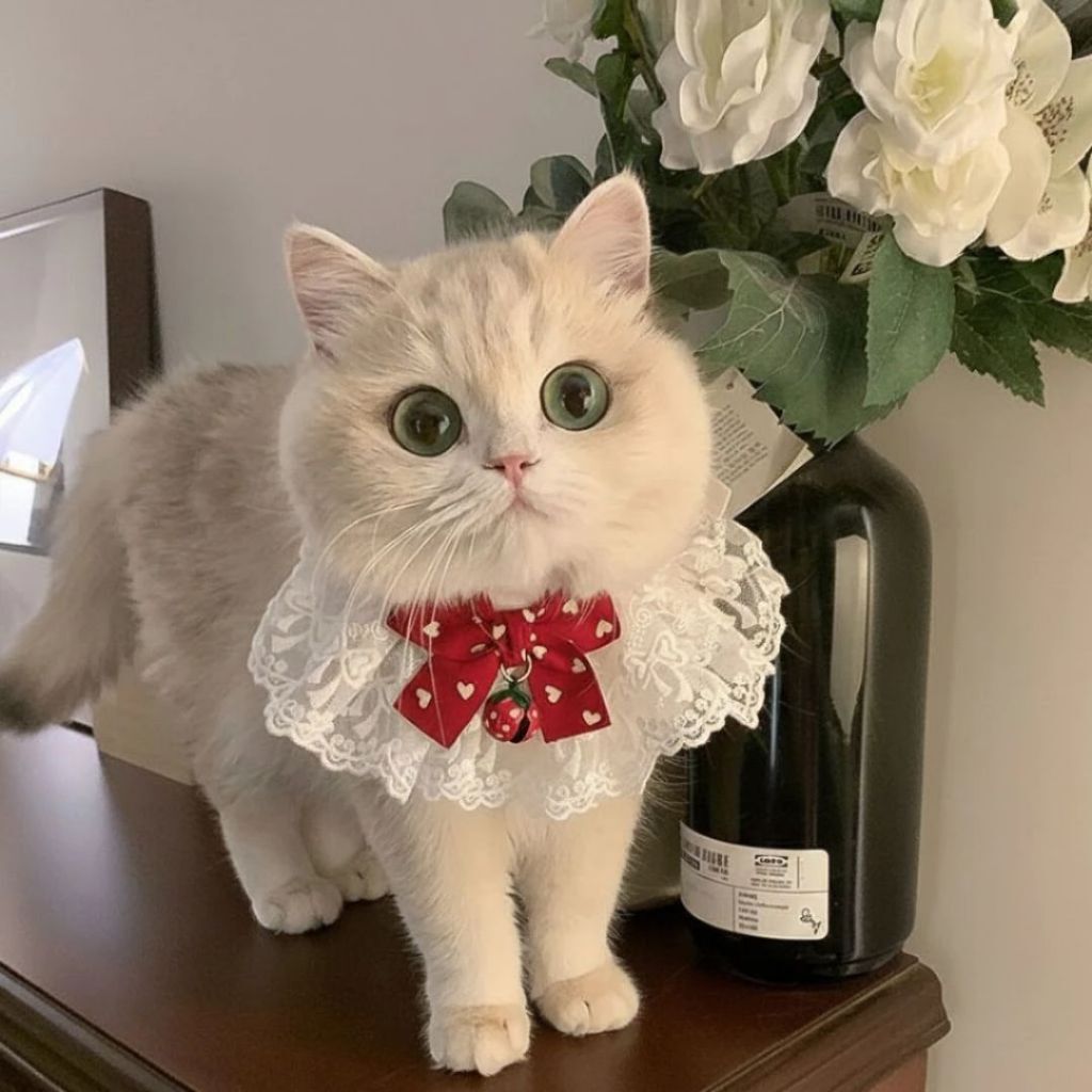 tw-11134207-820lh-mmsc79l3isjq65