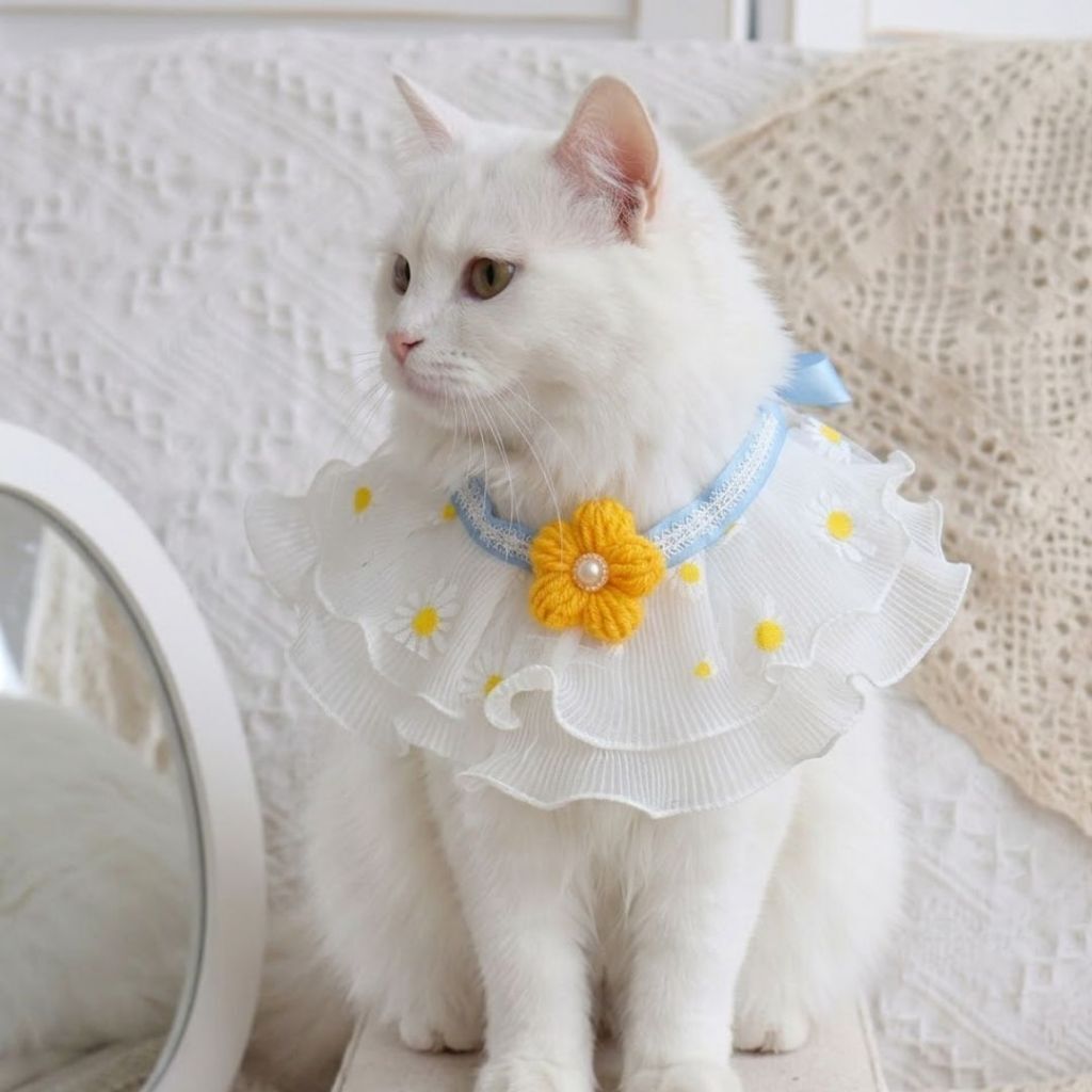 tw-11134207-820la-mmsc79l2qp6q22