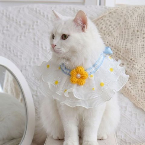 tw-11134207-820la-mmsc79l2qp6q22