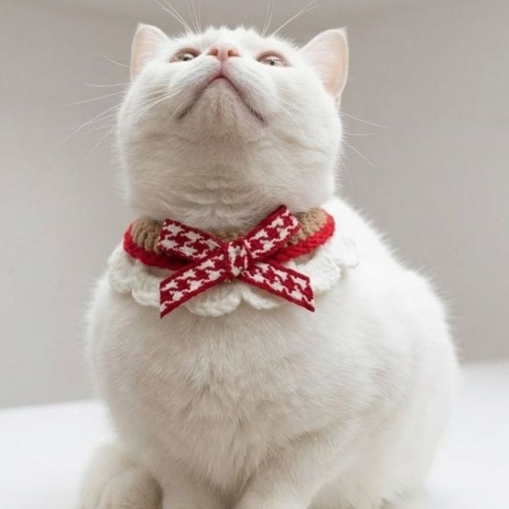 tw-11134207-820lb-mmse2xjtnx1f5d