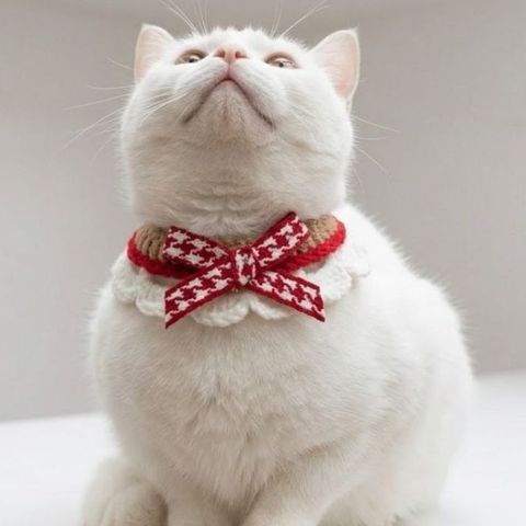 tw-11134207-820lb-mmse2xjtnx1f5d