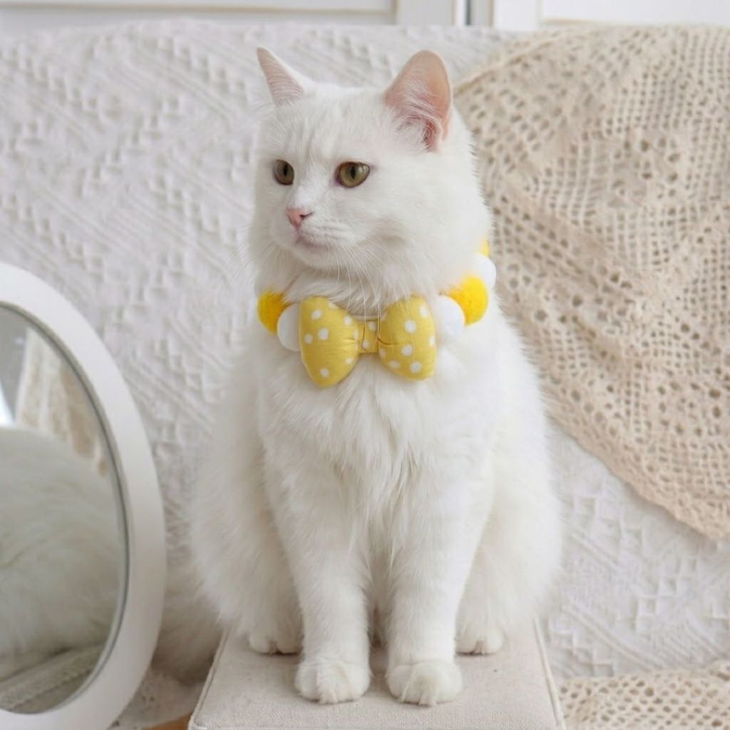 tw-11134207-820l7-mmsd4bcrgcud80