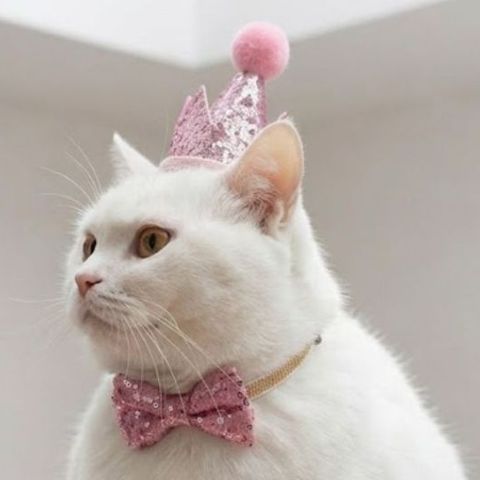 tw-11134207-820l6-mmsel1m521ad31