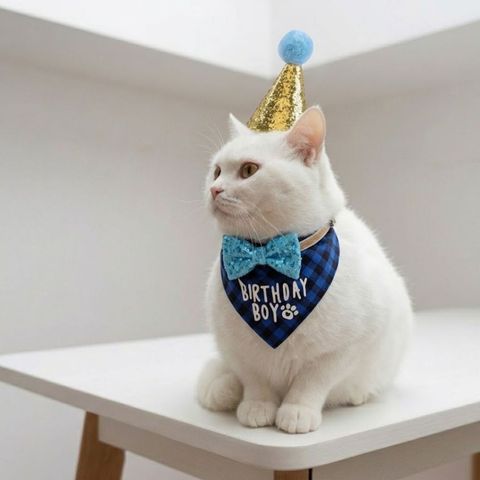 tw-11134207-820ld-mmsefvjma9dt07