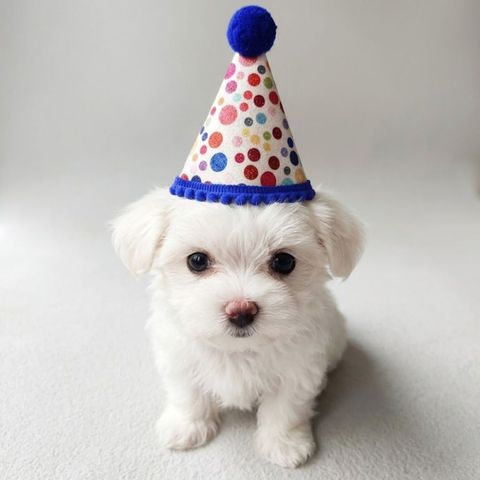 tw-11134207-820lb-mmsf67t63t3622