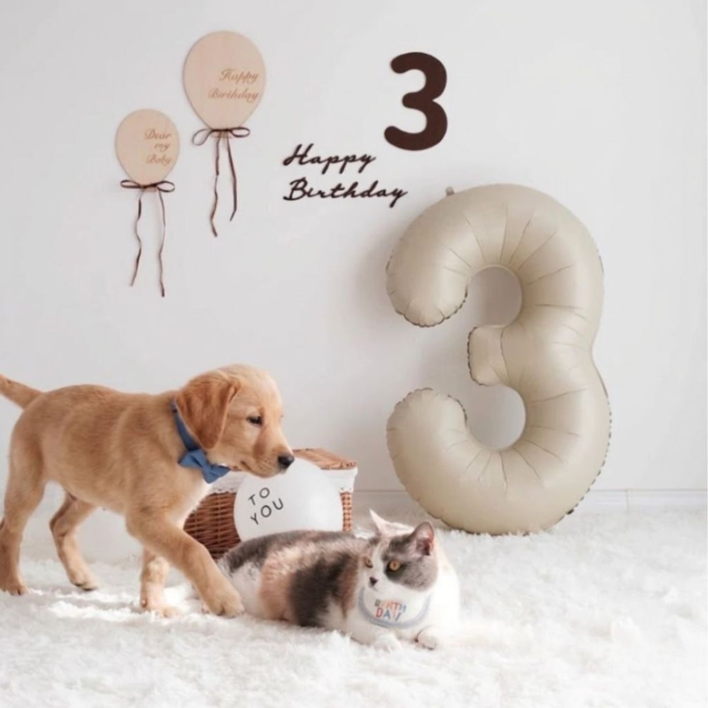 tw-11134207-820l7-mmsjmbqztqtgf8