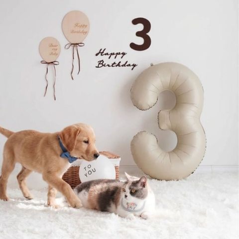 tw-11134207-820l7-mmsjmbqztqtgf8