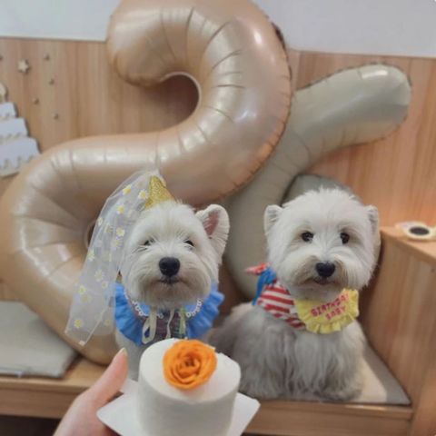 tw-11134207-820lb-mmsjmbr1dxj53a