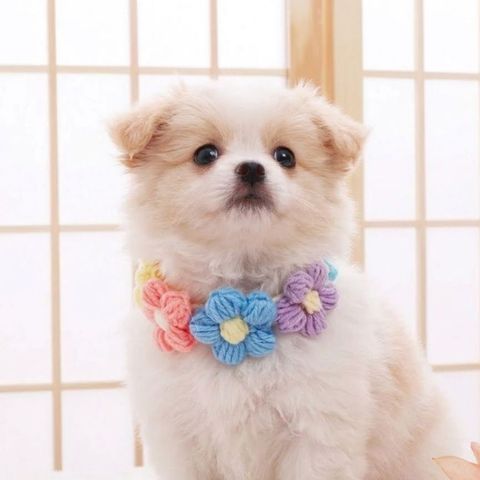 tw-11134207-820lg-mmskmcvetm9s66