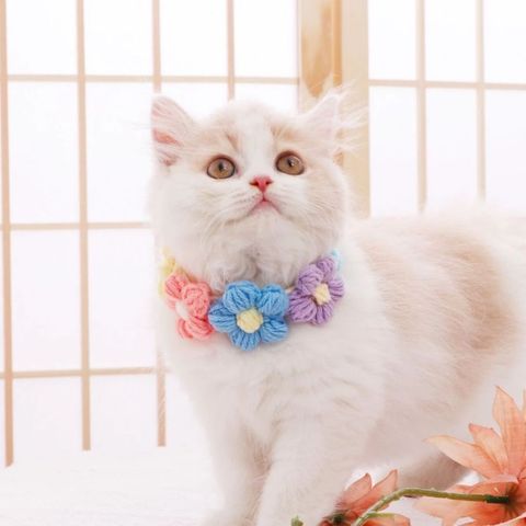 tw-11134207-820l5-mmskh7n6w2rs85