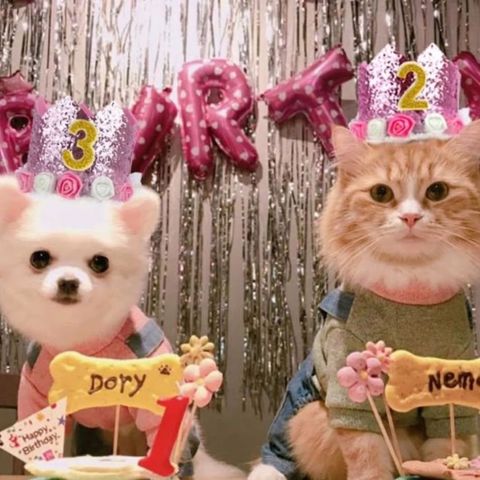 tw-11134207-820li-mmskui1aixhk2a