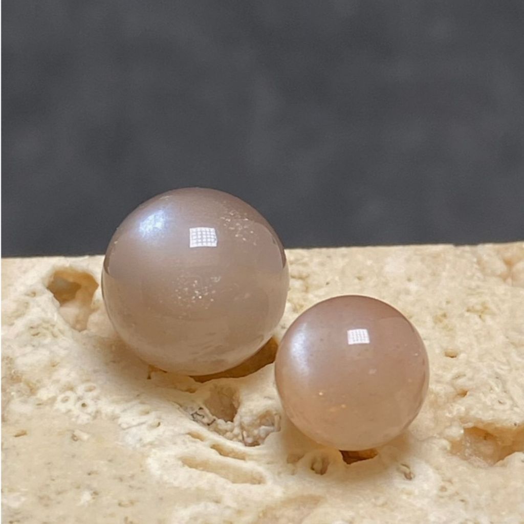 tw-11134207-81ztd-mjterp0269kx02