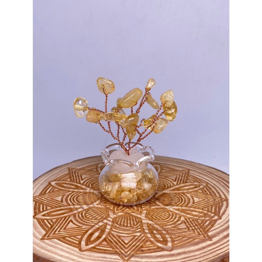 tw-11134207-7ras8-m34r8bqad7pw32