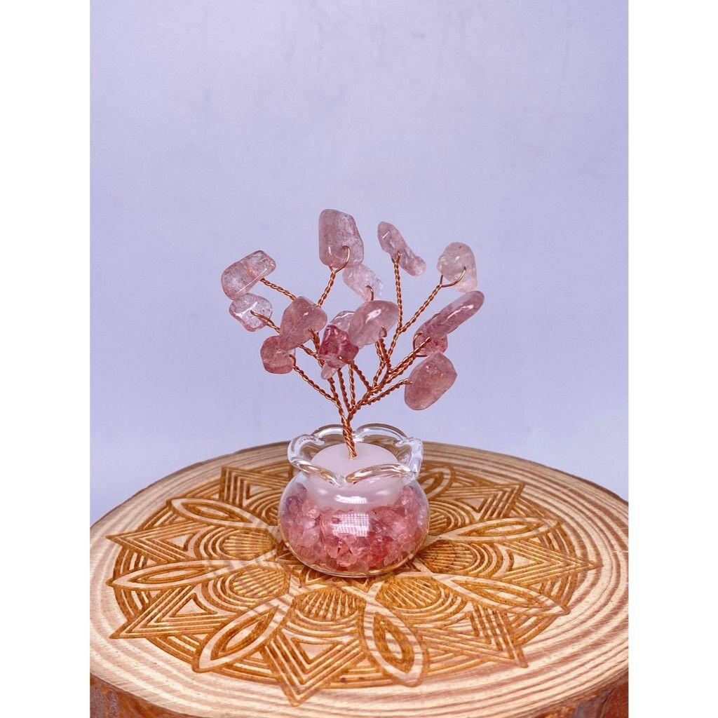 tw-11134207-7rasb-m34r9hbrj8t0ca