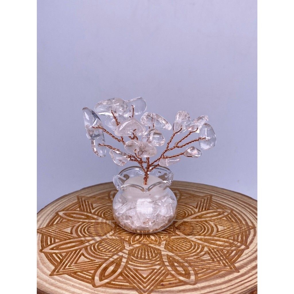 tw-11134207-7rasc-m34r8zg1nuc4b3