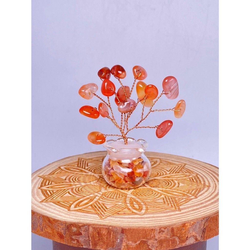 tw-11134207-7rasg-m34r941ewfv877