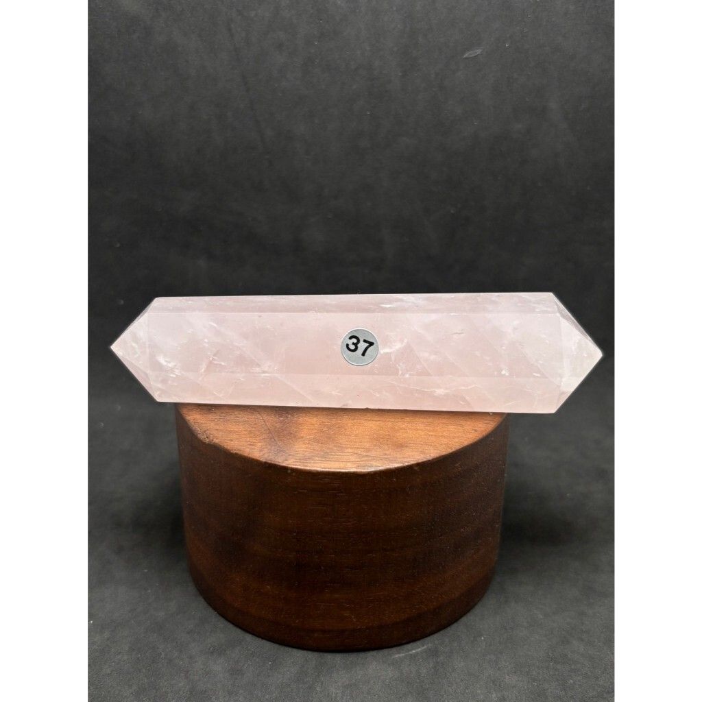 tw-11134207-7rash-m3zwynv8jyio4e