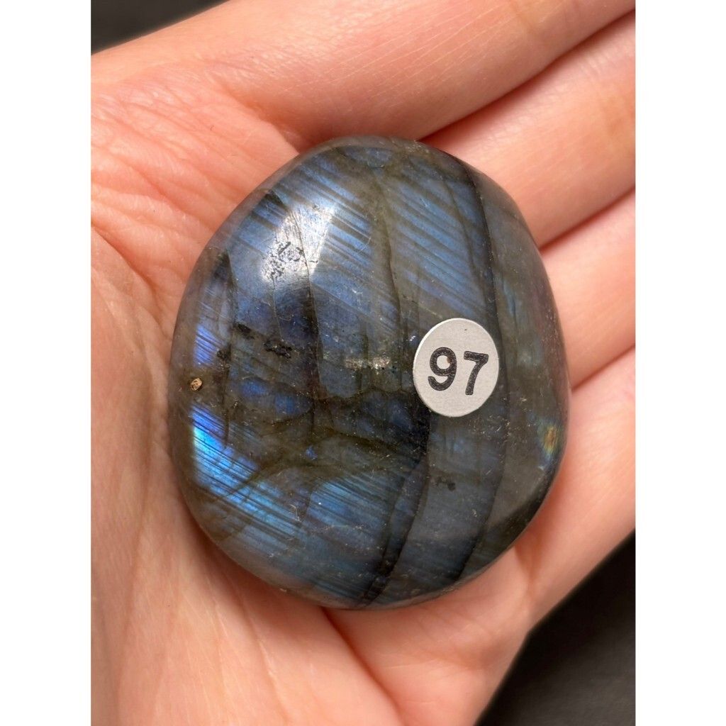 tw-11134207-7ras9-m5dsk6adnyja3b