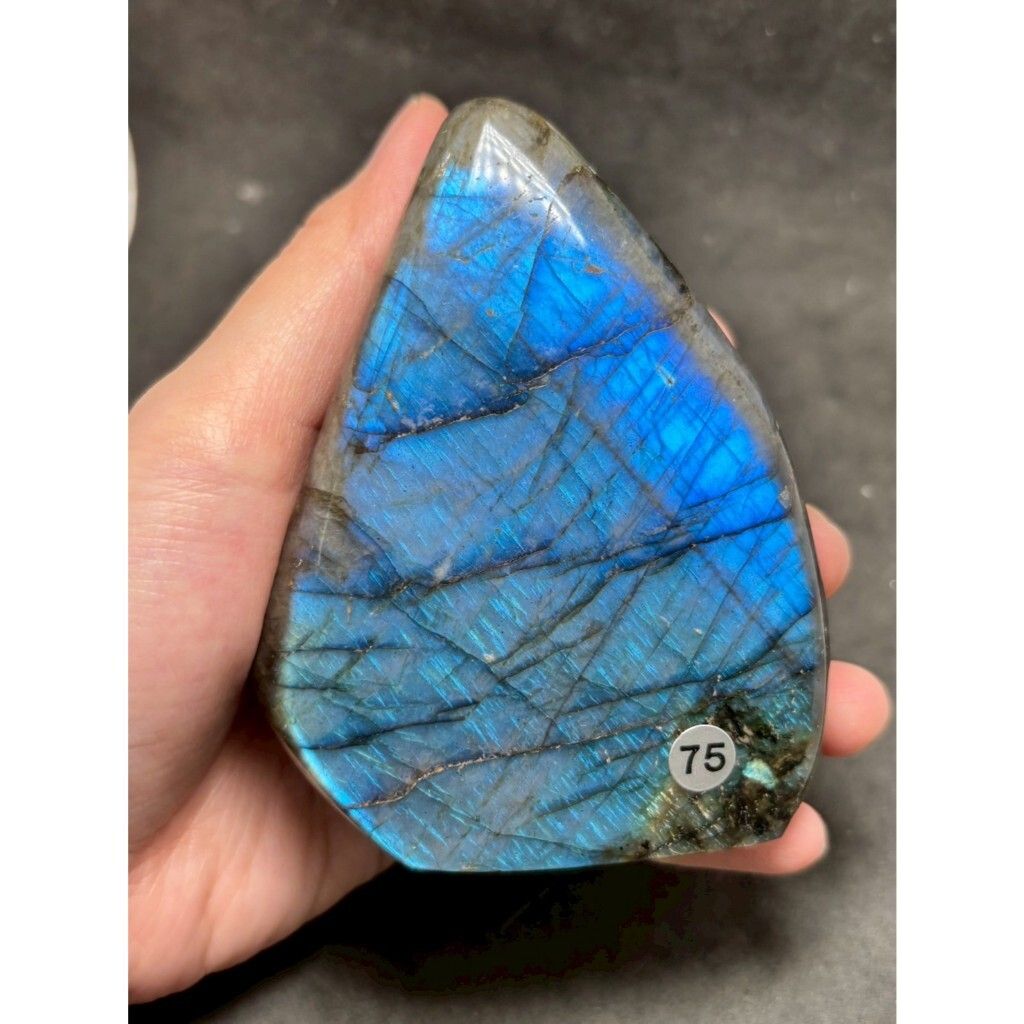 tw-11134207-7ra0n-mb7wv634zsah9f